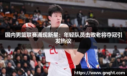 凤凰联盟首页官网