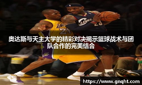 凤凰联盟首页官网