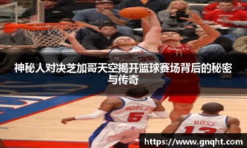 凤凰联盟首页官网