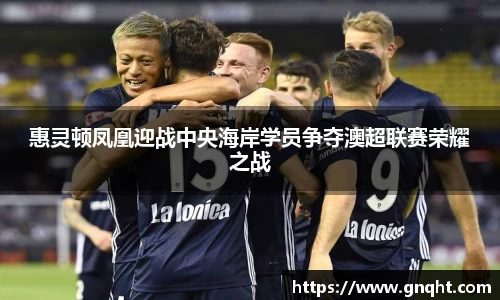 凤凰联盟首页官网