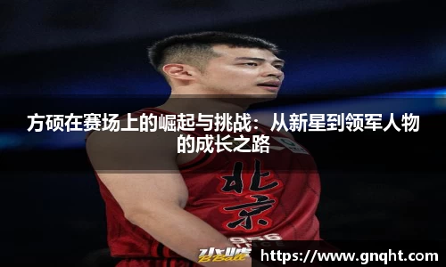 凤凰联盟首页官网