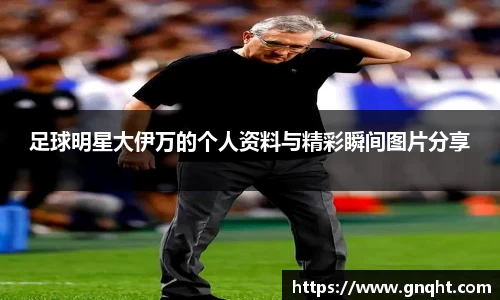 凤凰联盟首页官网